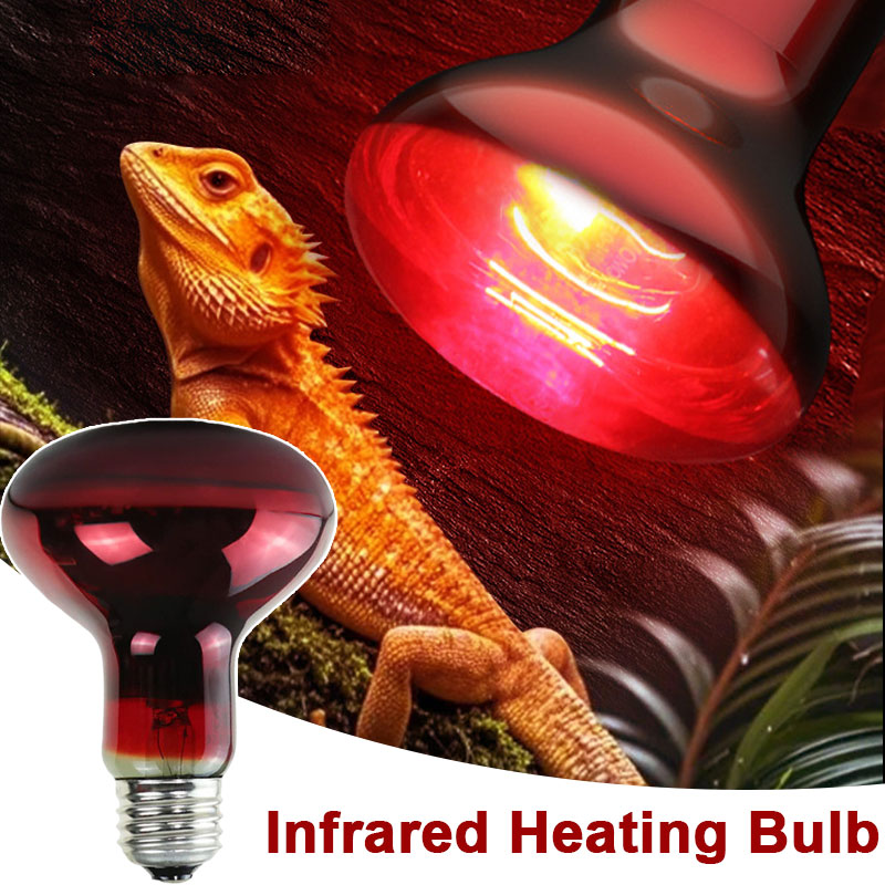 Reptile Heat Lamp 100V/220V In - Gecko Lighting & Decor 리뷰 및 가격