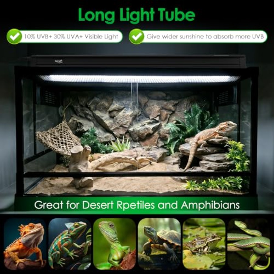 Reptile terrarium lighting kit - Gecko Lighting & Decor 리뷰 및 가격