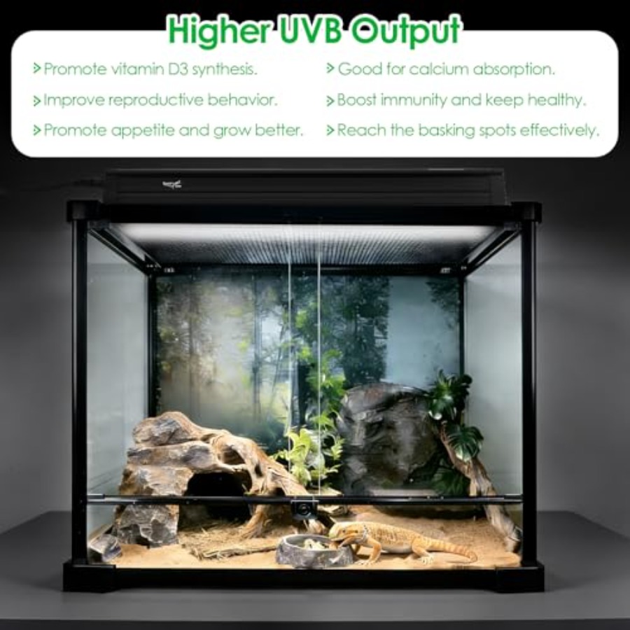 Reptile terrarium lighting kit - Gecko Lighting & Decor 리뷰 및 가격