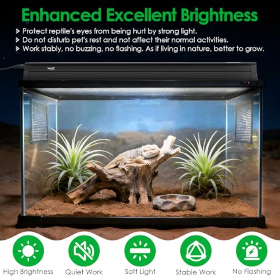 Reptile terrarium lighting kit - Gecko Lighting & Decor 리뷰 및 가격
