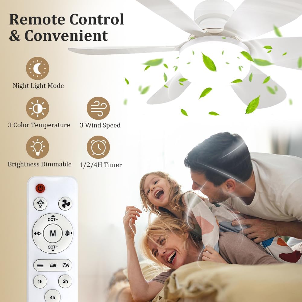 Socket Fan Light with Remote,  - Lighting Decor Home 리뷰 및 가격