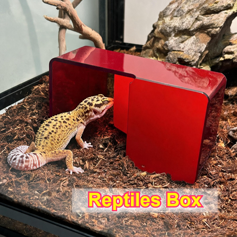 Red Acrylic Reptile Box Habita - Gecko Lighting & Decor 리뷰 및 가격