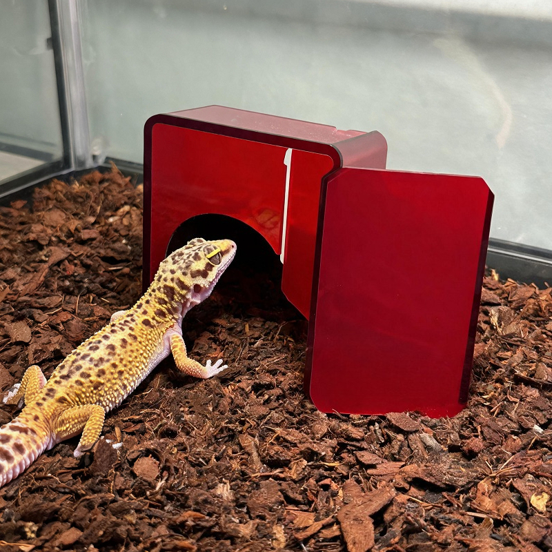 Red Acrylic Reptile Box Habita - Gecko Lighting & Decor 리뷰 및 가격