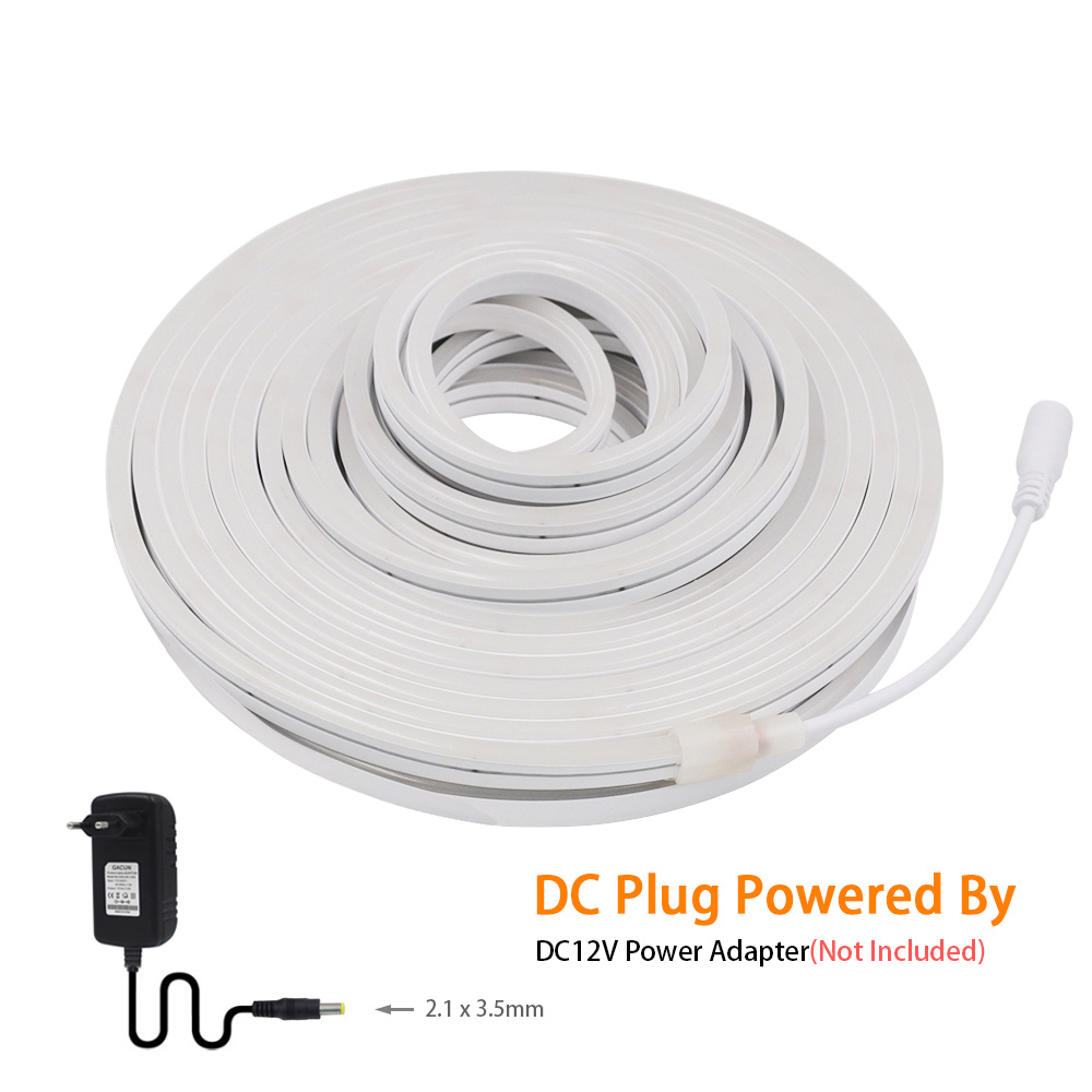 DC 12V LED Neon Strip Light Ne - Decor Lighting Hours 리뷰 및 가격