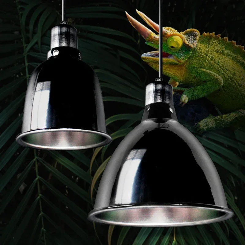 Reptile Deep Dome Lampshade 5. - Gecko Lighting & Decor 리뷰 및 가격
