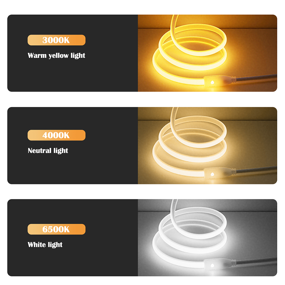 220V Switch Power COB LED Neon - Decor Lighting Hours 리뷰 및 가격