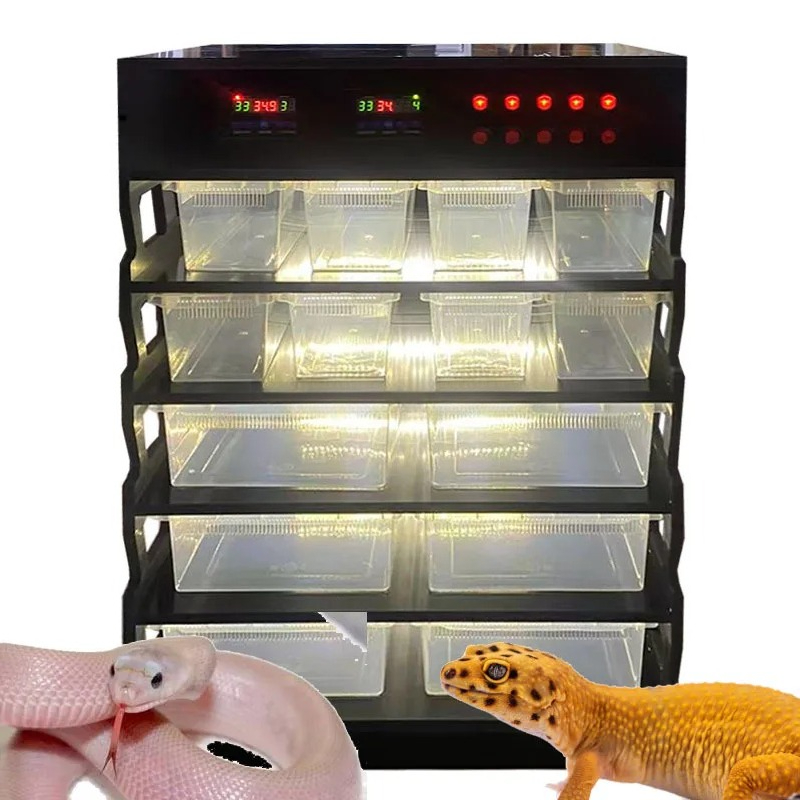 Intelligent PVC Reptile Furnit - Gecko Lighting & Decor 리뷰 및 가격