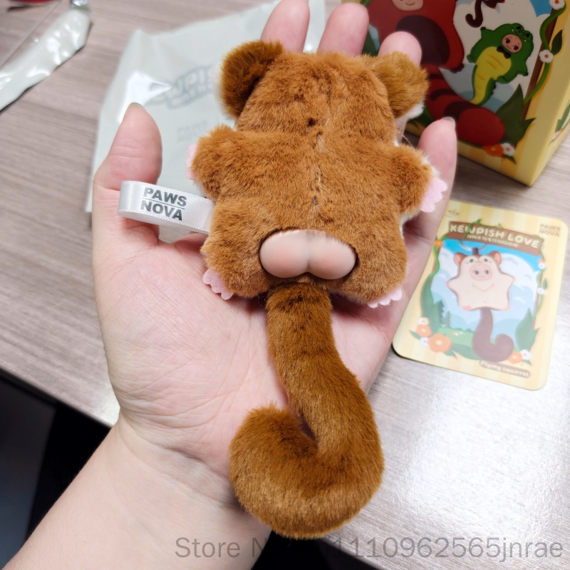 Paws Nova Authentic Official K - Nova Decor & Lighting Julestjerne 리뷰 및 가격