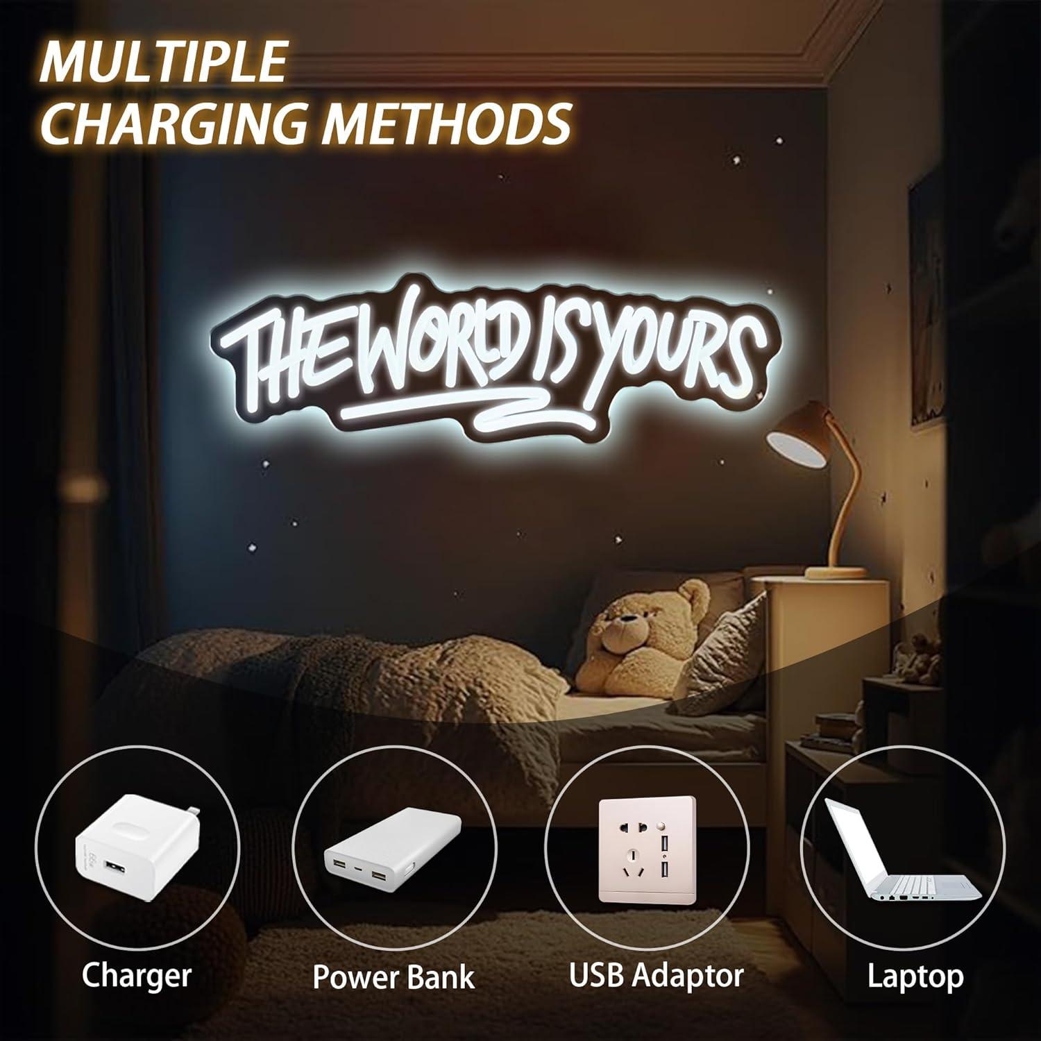 The World is Yours Neon Sign U - Lighting Decor Wedding 리뷰 및 가격