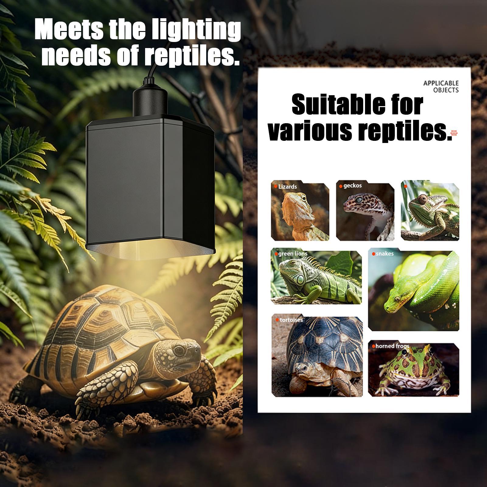 Heat Lamp Shade For Reptiles T - Gecko Lighting & Decor 리뷰 및 가격