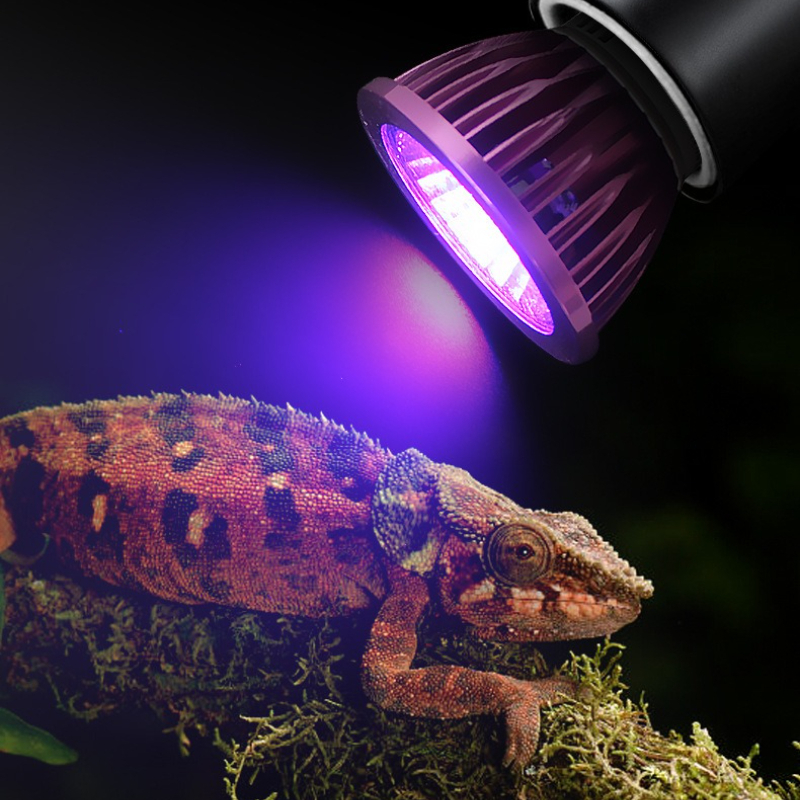 NOMOY Moonlight LED Night Ligh - Gecko Lighting & Decor 리뷰 및 가격