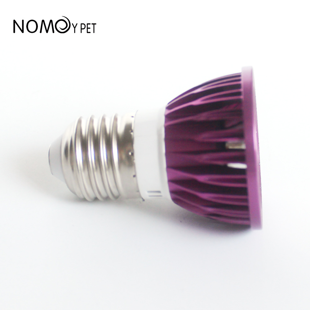 NOMOY Moonlight LED Night Ligh - Gecko Lighting & Decor 리뷰 및 가격