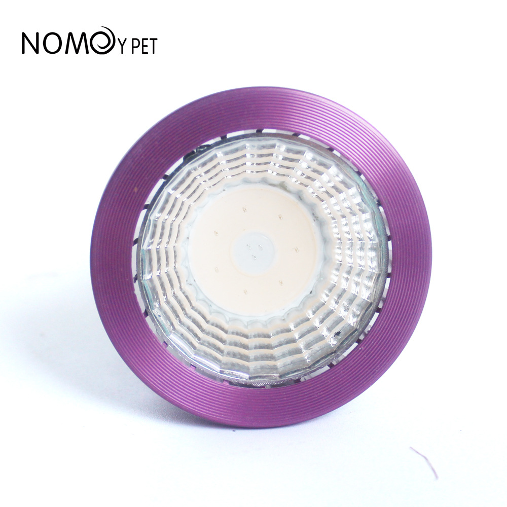 NOMOY Moonlight LED Night Ligh - Gecko Lighting & Decor 리뷰 및 가격